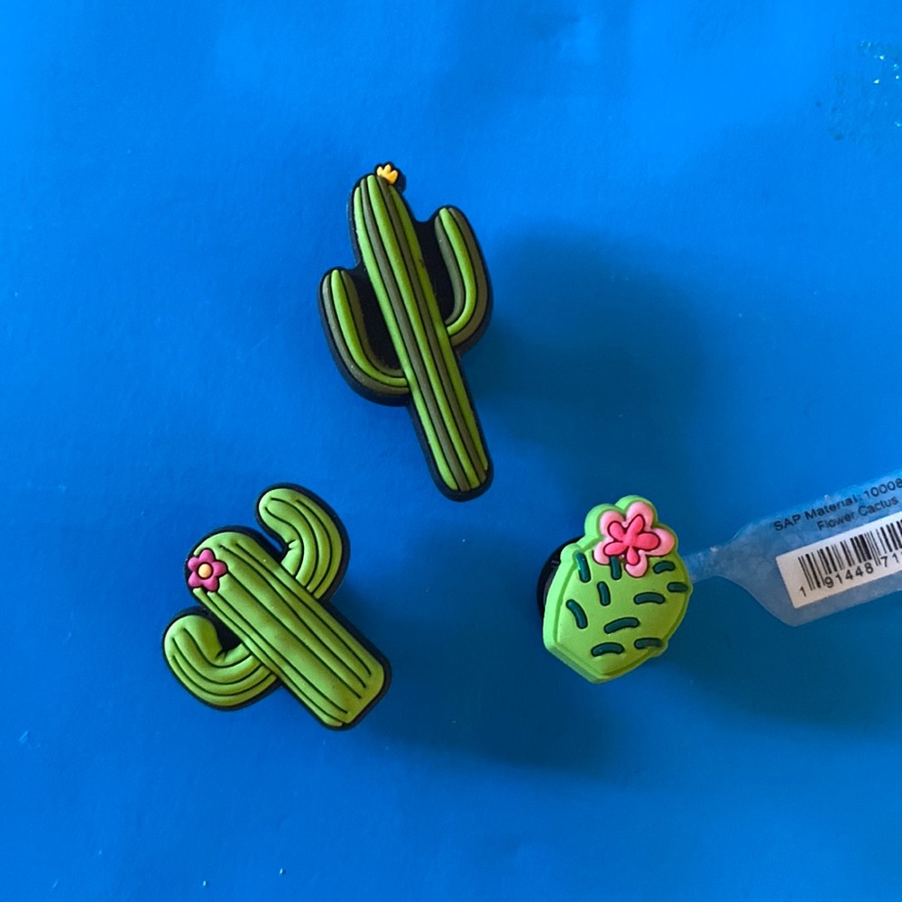 Official Crocs Cacti Jibbitz